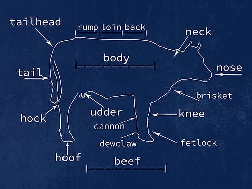 Beef Art Print