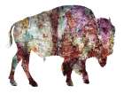 Rustic Bison Art Print