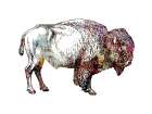 Rustic Bison 5 Art Print