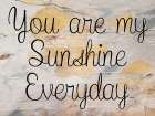 Sunshine Art Print