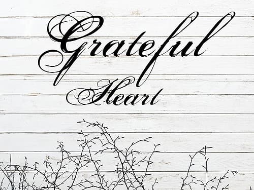Greatful Heart Art Print