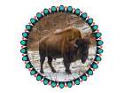 Buffalo Love 2 Art Print