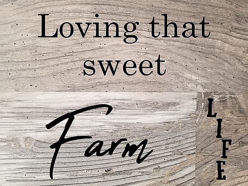 Sweet Farm Life Art Print