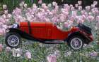 Flower Car Art Print