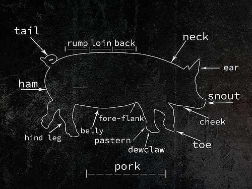 Pig Art Print