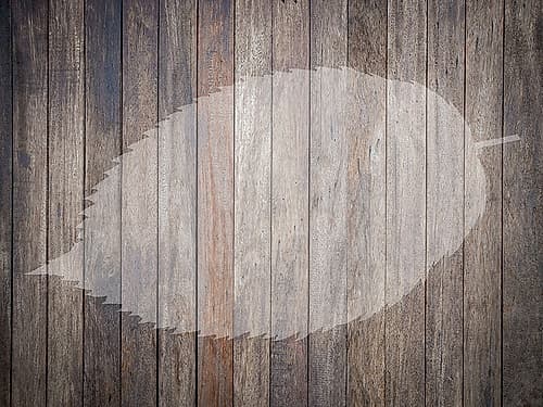 Natures Lodge Nature Print