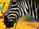 Africa Savanna Art Print