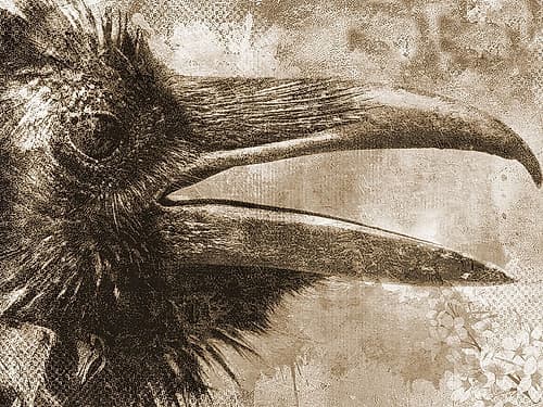 Natural Nutral Art Print