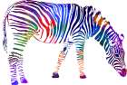 Zebra Art Print