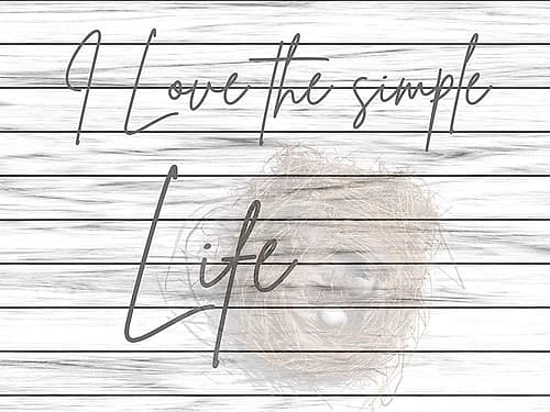 Country Living Art Print