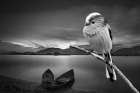 Placid Lake Art Print