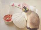 Members Only Cat Spa Art Print