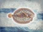 Fish Take Art Print