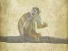 Monkey Around Art Print