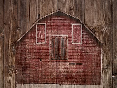 Back At The Barn Yard Art Print