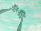 Aqua Palm Art Print