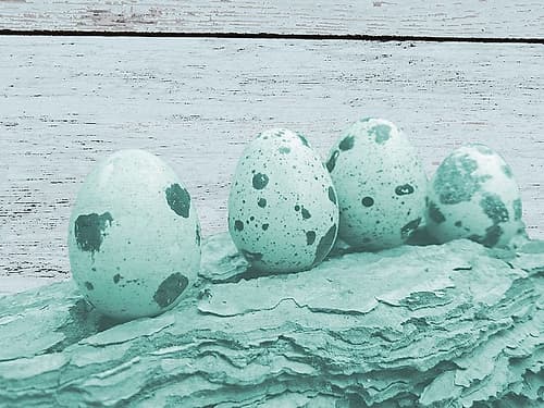 Hatched Of Blues Art Print