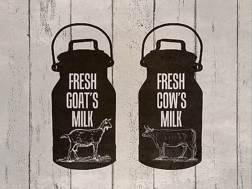 Fresh Farm Milk 1 Art Print