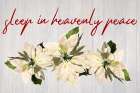 Heavenly Peace Art Print