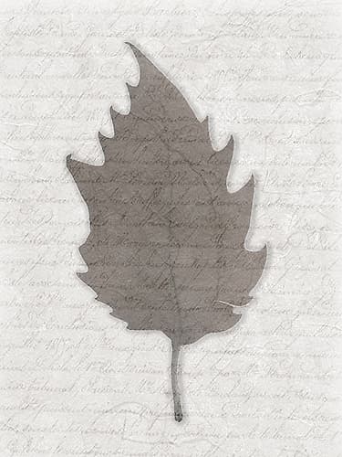 Leafted up 2 Nature Print
