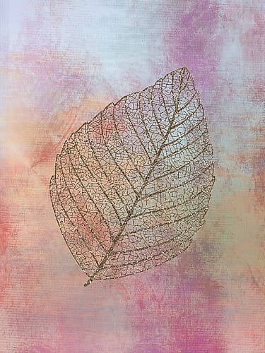 Beleaf 1 Nature Print