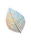 Beleaf 2 Art Print