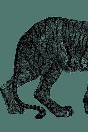 Big Cat 1 Art Print