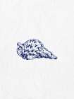 Indigo Shell 1 Art Print