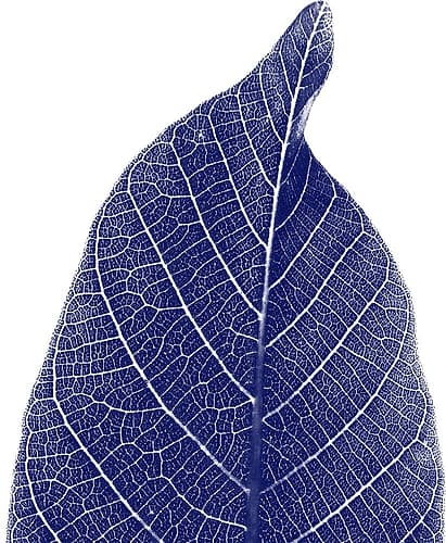Indigo Half 1 Art Print