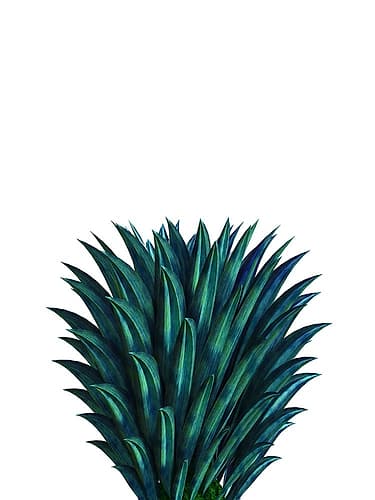 Soothe Me Art Print