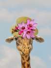 Giraffe Floral 2 Art Print