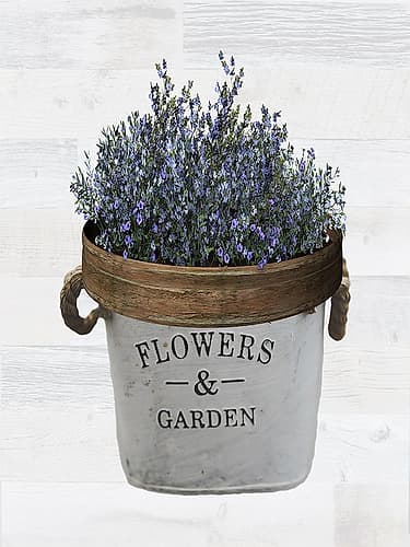Flower Garden Art Print