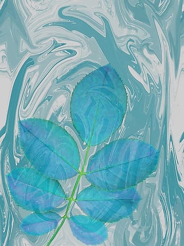 Flower Coastal Print