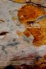 Earths Core Abstract Art Print