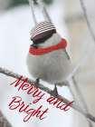 Christmas Bird Art Print