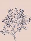 Botany 2 Art Print