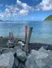 BVI 3 Art Print
