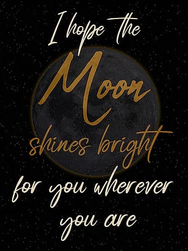 Moon Shine Art Print