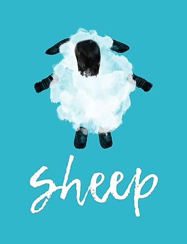 Sheep Art Print