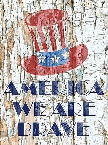 Brave American Fashion Print