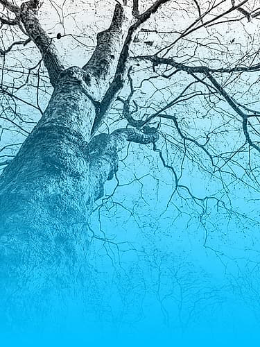 Blue Sky Landscape Print