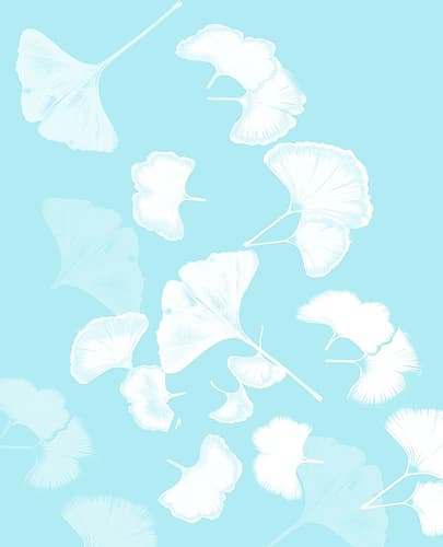 Ginkgo 2 Art Print