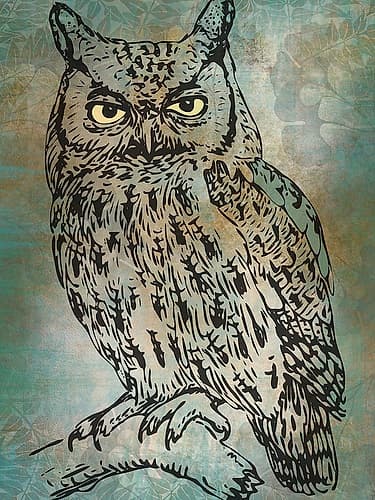 Mr. Owl Art Print
