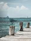 Jetty Art Print