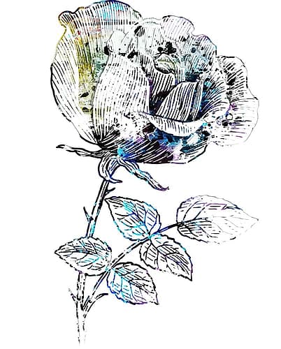 Paint Splatterd Flower Abstract Art Print