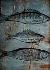 Old Fish Market Art Print