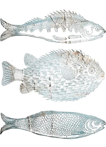 Old Fish Market 3 Art Print
