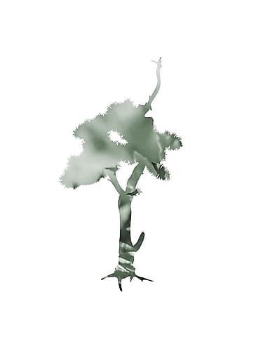 Aqua Tree 2 Art Print