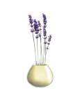 LAVENDER Art Print