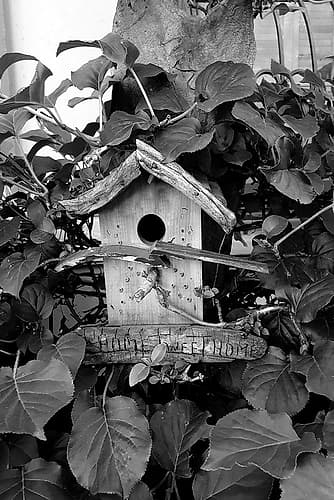 Bird House Photography Print